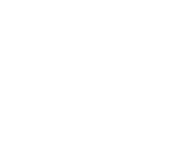 Imma ScholarLink